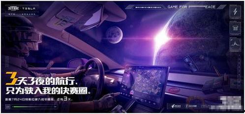 鲨鱼爆料赌城视频播放在线观看,赌城视频独家首播，在线观看一触即达！